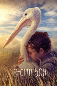 Storm Boy