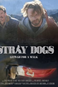 Stray Dogs