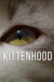 Kittenhood