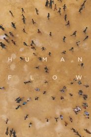 Human Flow