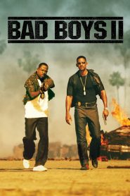 Bad Boys II